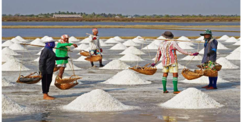 Ban hành hạn ngạch thuế quan nhập khẩu muối, trứng gia cầm  năm 2019