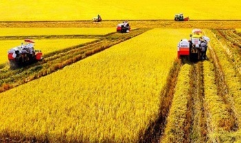 Đề xuất miễn thuế sử dụng đất nông nghiệp đến năm 2030