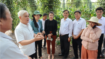 Bí thư Tỉnh ủy thăm mô hình nông dân sản xuất, kinh doanh giỏi tại Đồng Xoài
