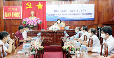 PCT Tran Tuyet Minh hoi nghi CDS nong nghiep