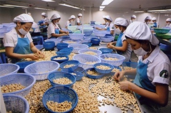 Cashew sector predicted to secure good export growth in 2022