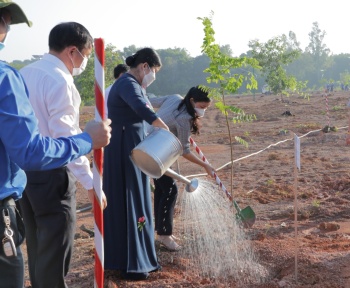 Mrs.Tran Tue Hien - president of the province People's Committee to start planting trees in 2022