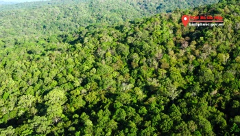 Công bố hiện trạng rừng tỉnh Bình Phươc năm 2022