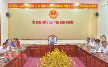Phổ biến Kết luận 58 của Ban Bí thư về tổ chức, hoạt động của Hội Người cao tuổi Việt Nam