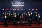 Hiệp định CPTPP sẽ có hiệu lực đối với Việt Nam từ ngày 14/1.