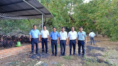 Phó chủ tịch UBND huyện Nguyễn Vũ Tiến thăm quan trang trại gà tại xã Thanh An cùng Đoàn công tác xã Tân Lập, huyện Đồng Phú.