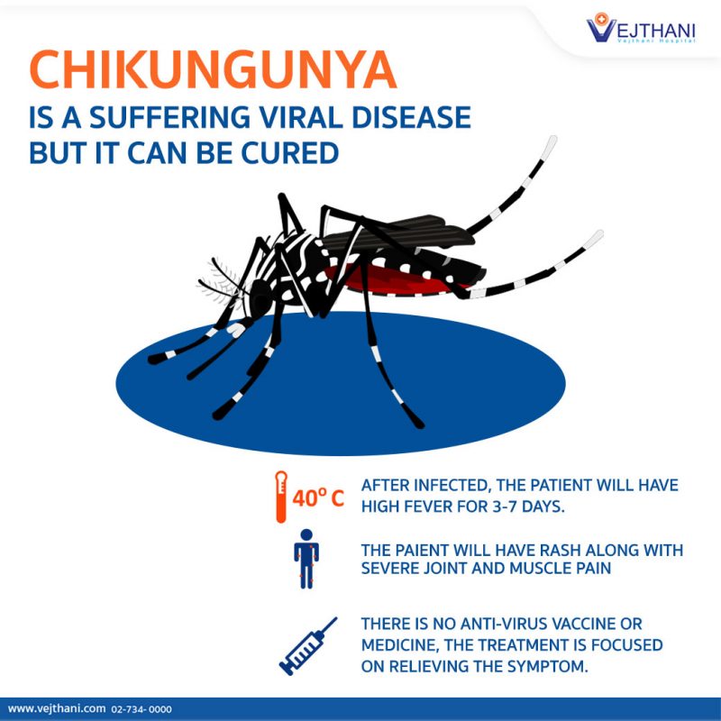 Hướng dẫn phòng chống Chikungunya 2020